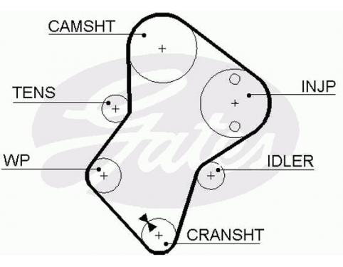 Timing Belt