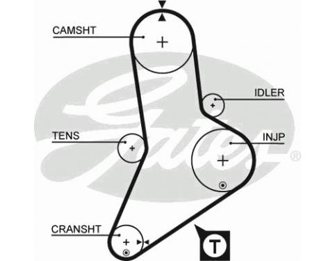 Timing Belt