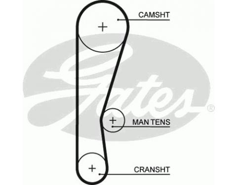 Timing Belt