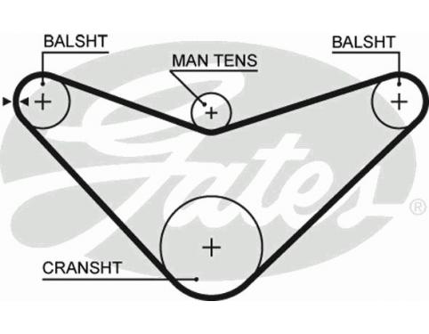 Timing Belt