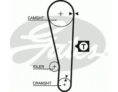 Timing Belt