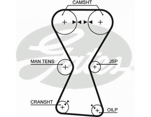 Timing Belt