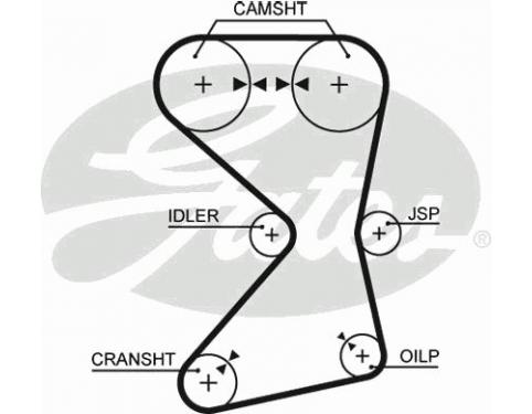 Timing Belt