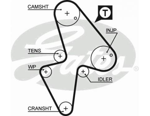 Timing Belt