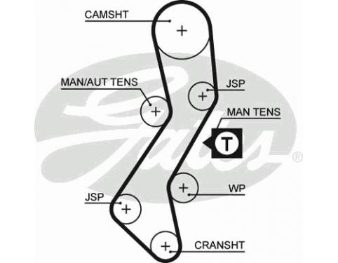 Timing Belt