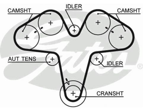 Timing Belt