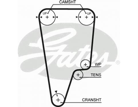 Timing Belt