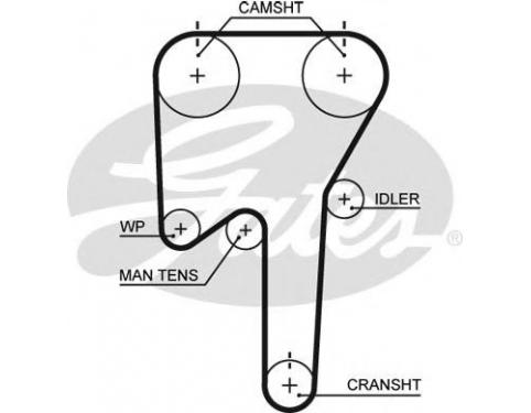 Timing Belt