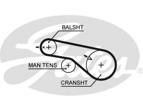 BELT - BALANCE TIMING
