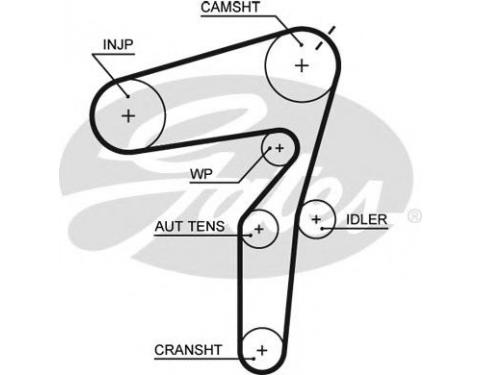 Timing Belt