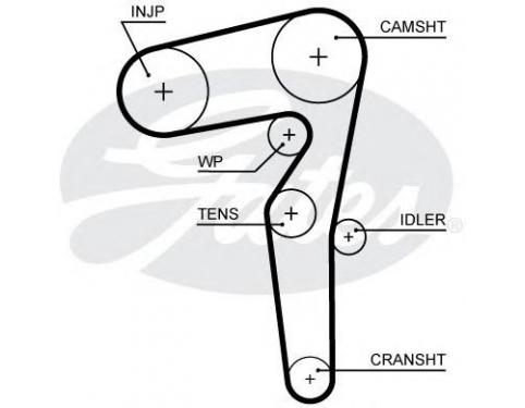 Timing Belt