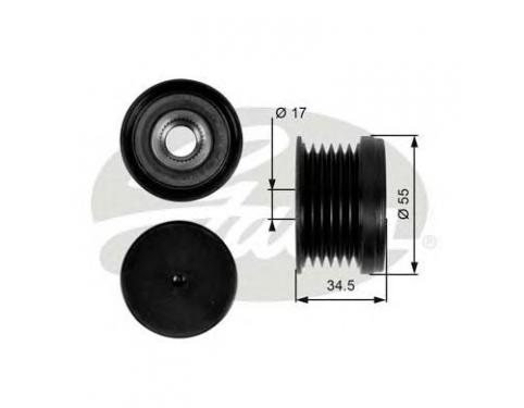 Alternator Freewheel Clutch