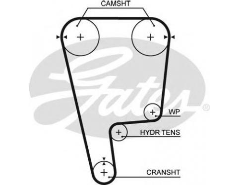 Timing Belt