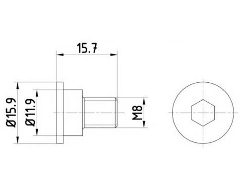 Bolt, brake disc