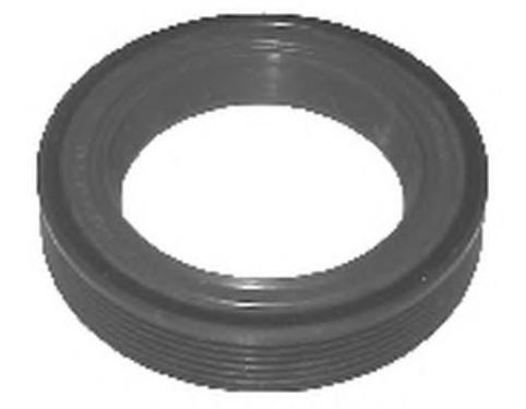Shaft Oil Seal