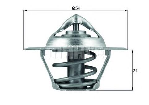 Thermostat, coolant