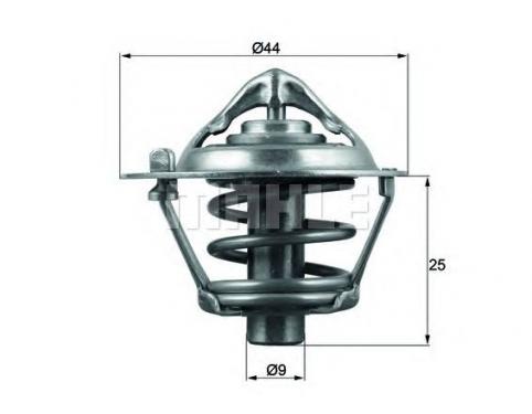Thermostat, coolant