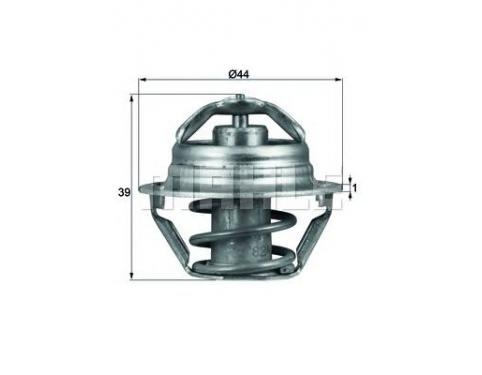 Thermostat, coolant