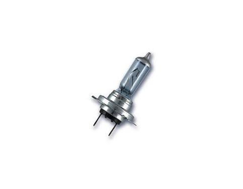Bulb