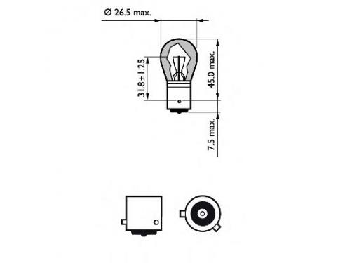 Bulb