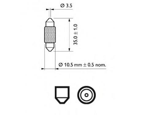 Bulb