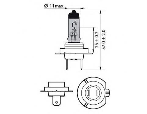 Bulb