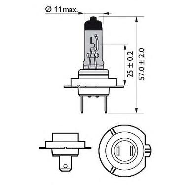 Bulb