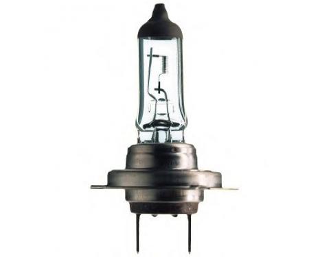 Bulb