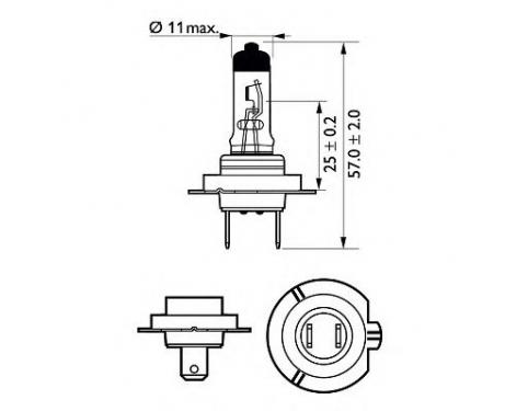 Bulb