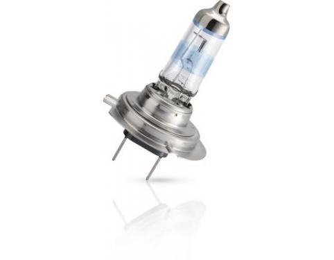 Bulb