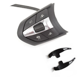 Steering Wheel Switch