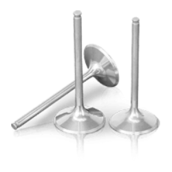 Exhaust Valve