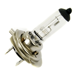 Bulb