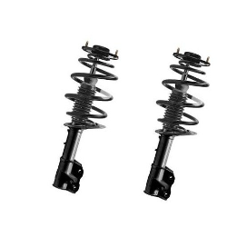 Rear Suspension Strut Assembly