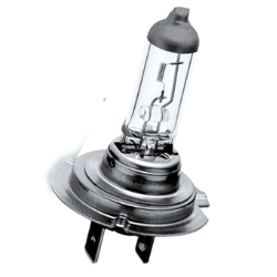 H7 Bulb