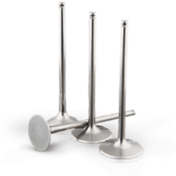 Intake Valve