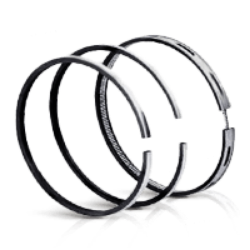 Piston Rings