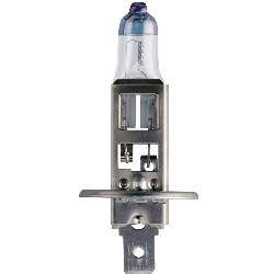 H1 Bulb