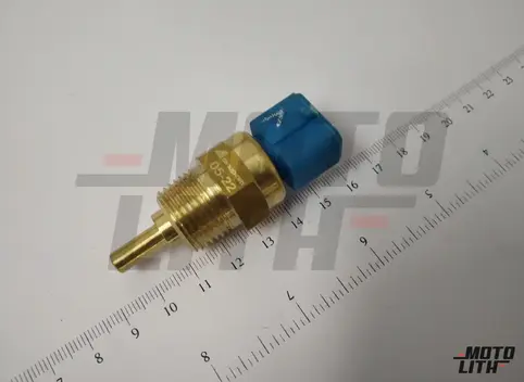 Temperature Sensor 