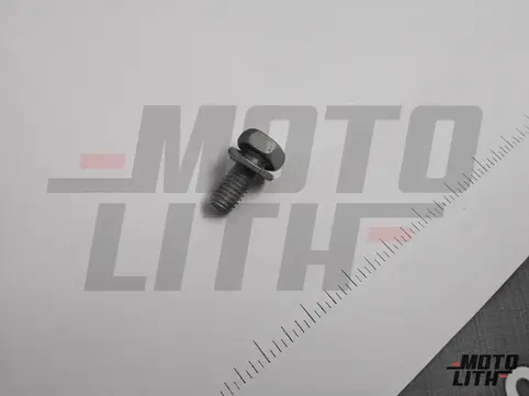 BOLT-WASHER ASSY