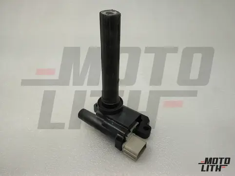 COIL ASSY, IGNITION