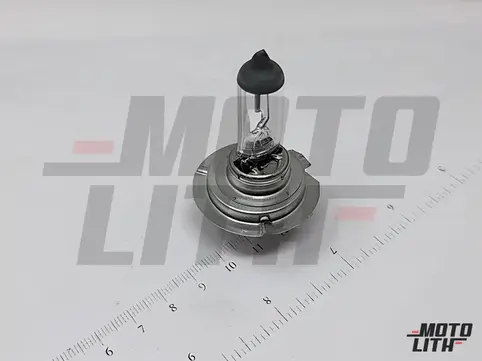H7 Halogen Bulb 12V 80W (Single Bulb)