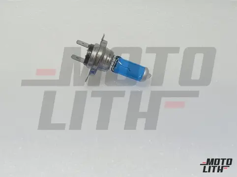 H7 Halogen Bulb 12V 55W (Single Bulb)