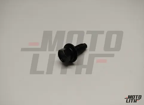 BOLT(W/WASHER)