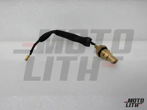 Temperature Sensor
