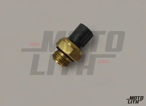 Temperature Sensor 