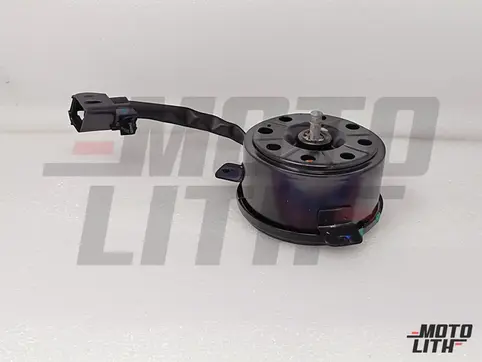Radiator Fan Motor