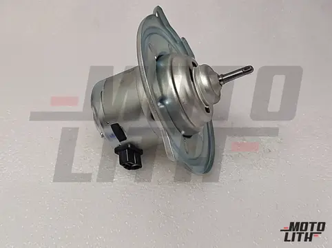 Blower Motor