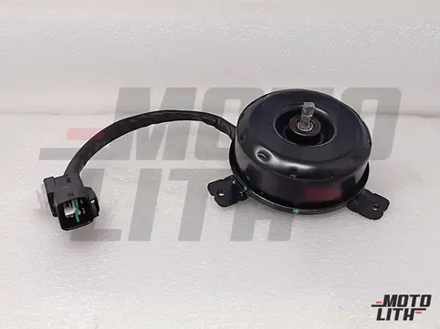 Radiator Fan Motor