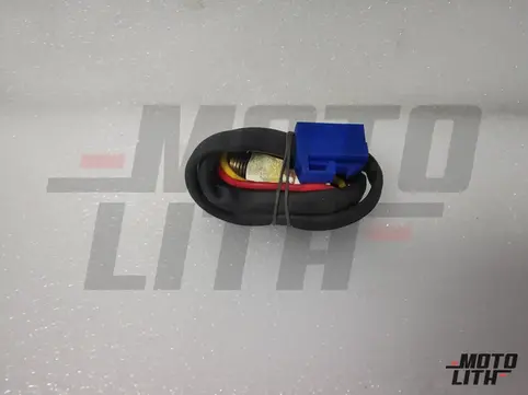 Reverse Light Switch 